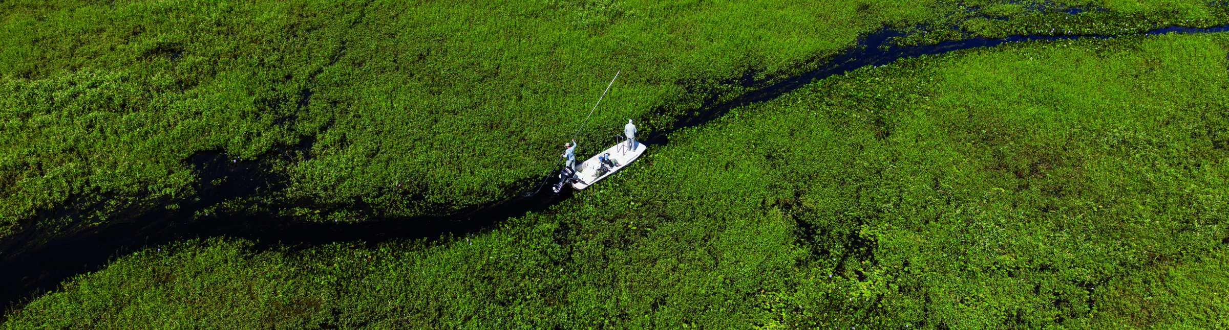 Iberá wetlands